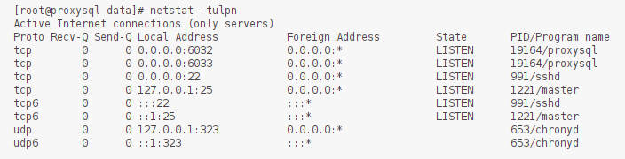 image-20240713160120646