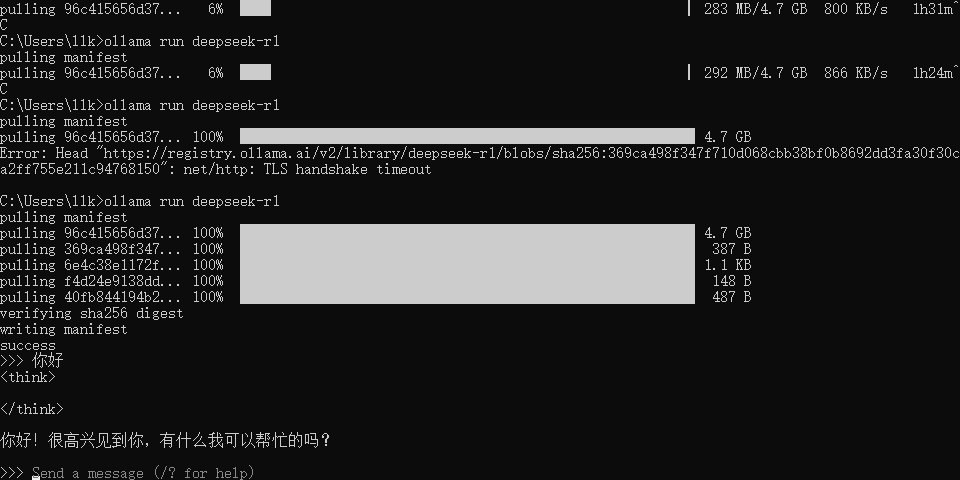 image-20250227222944451